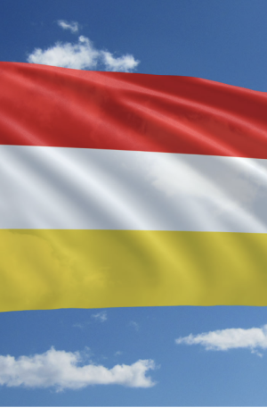 Vlag - klein